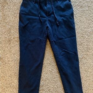 Banana Republic Men's Deep Blue Chinos